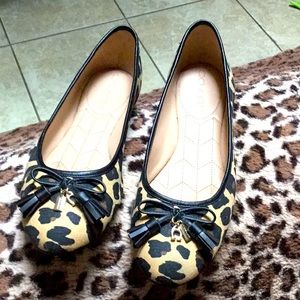 COACH LEOPARD 🐆 FLATS